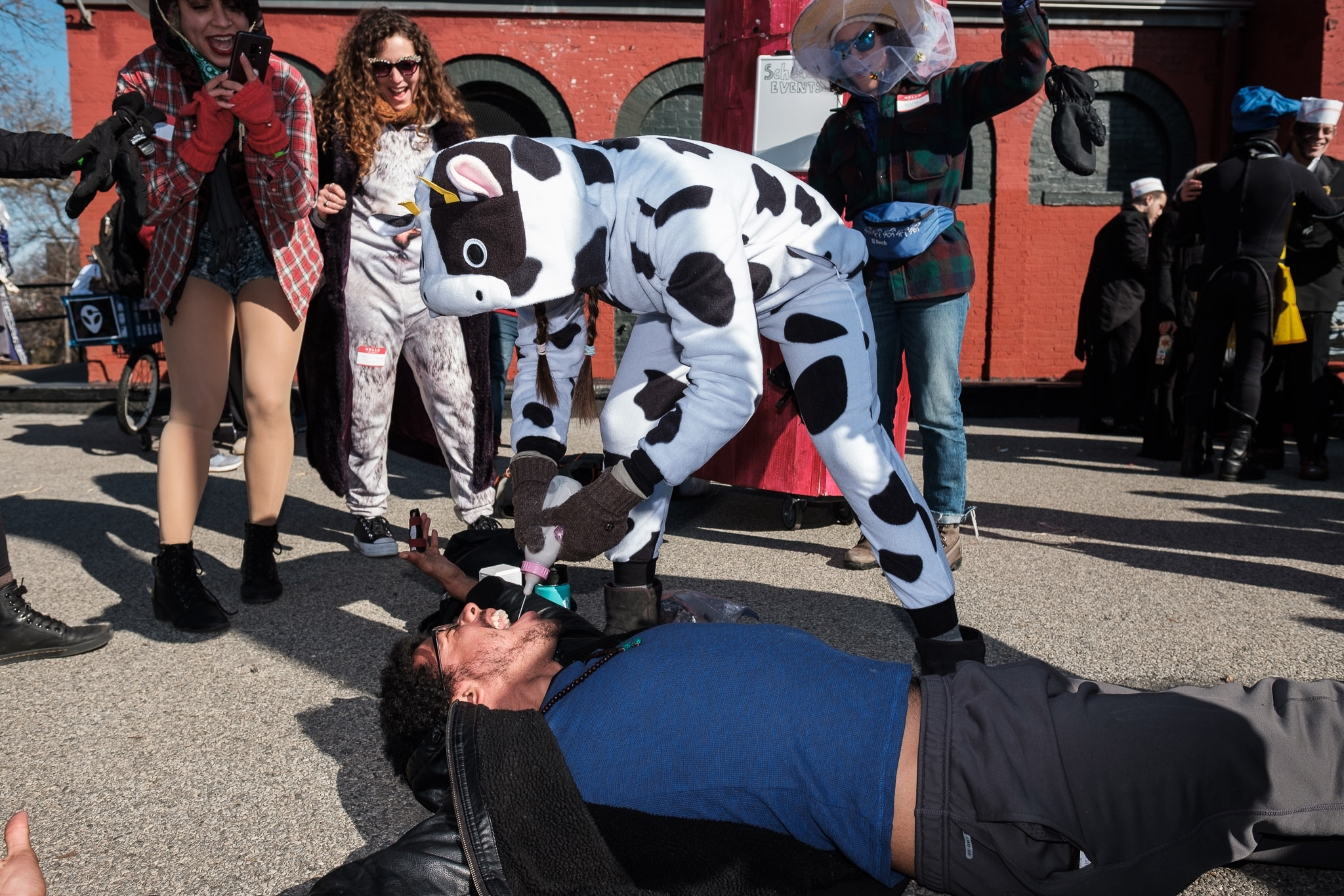 Idiotarod — photograph 11