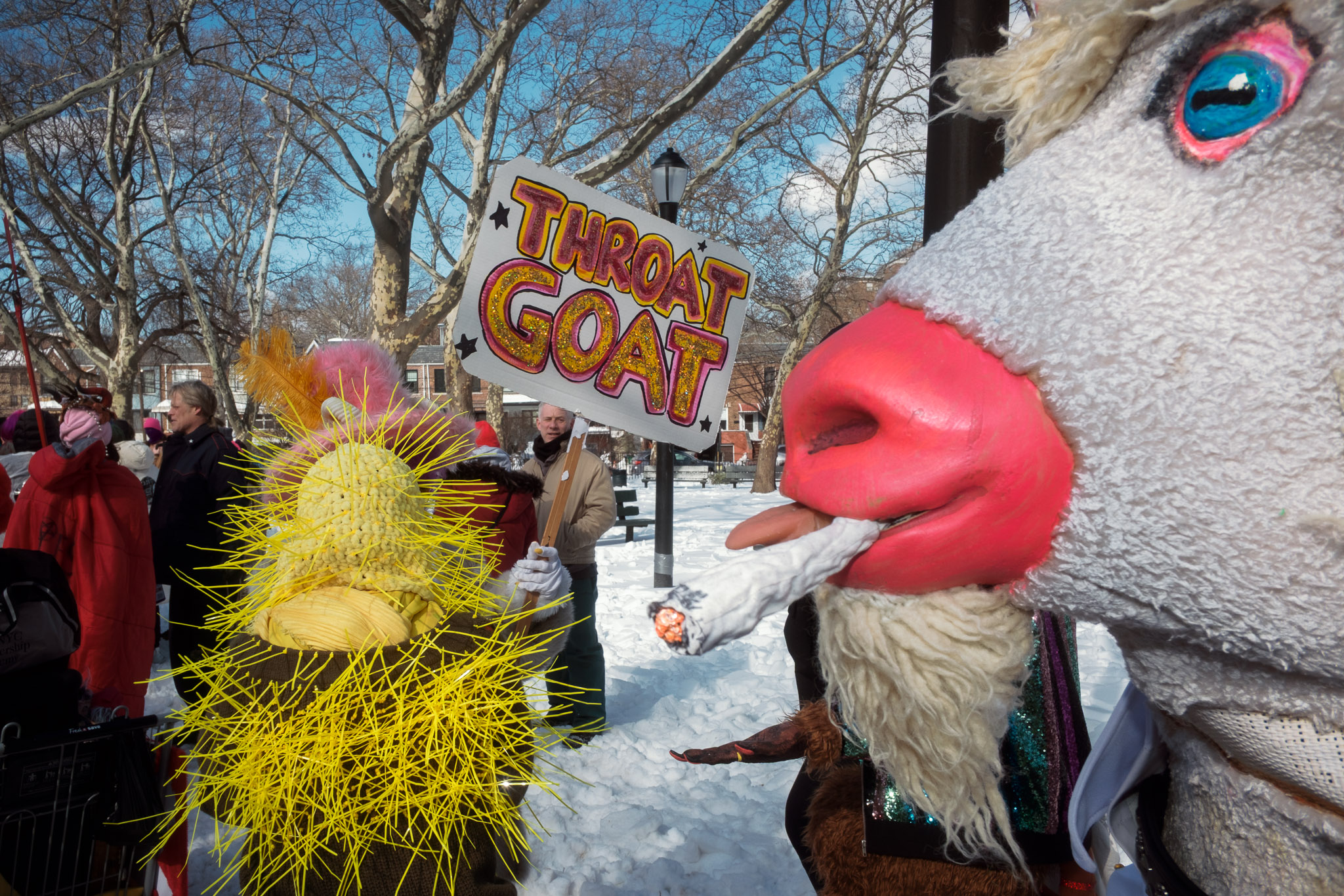 Idiotarod NYC XXIII