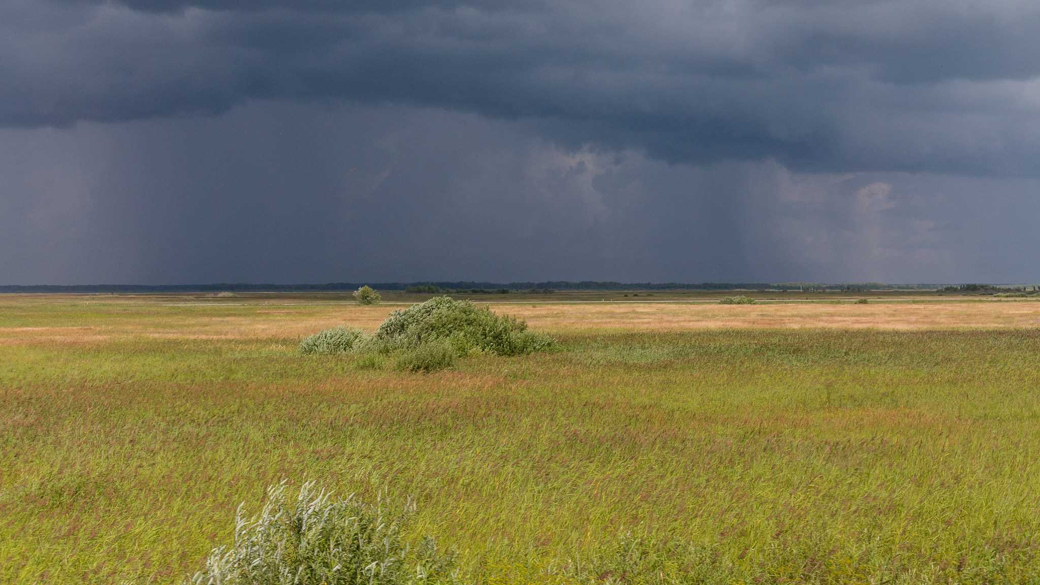 Views from the Trans Siberian Railroad — photograph 4