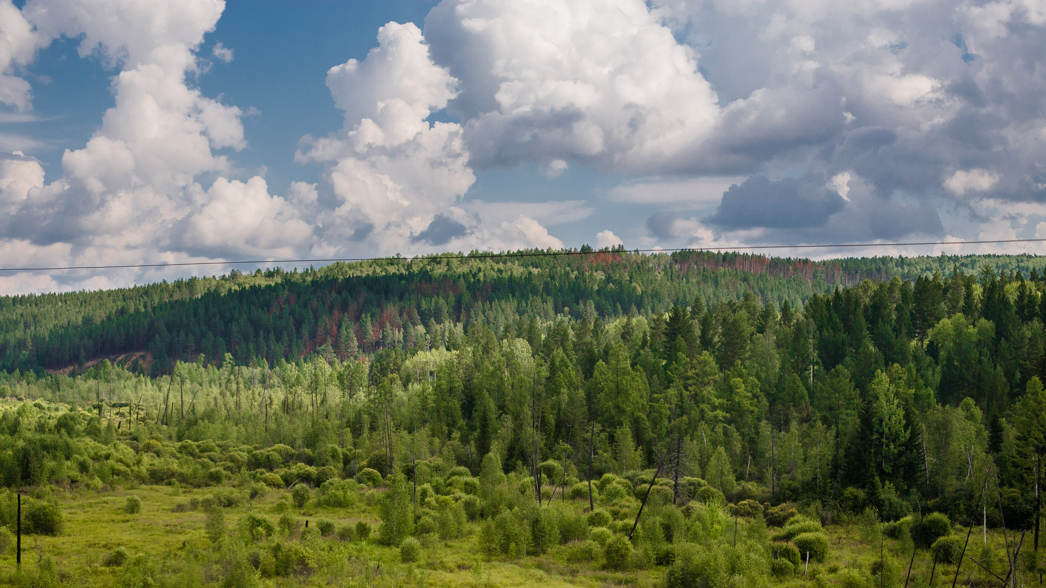 Views from the Trans Siberian Railroad — photograph 7