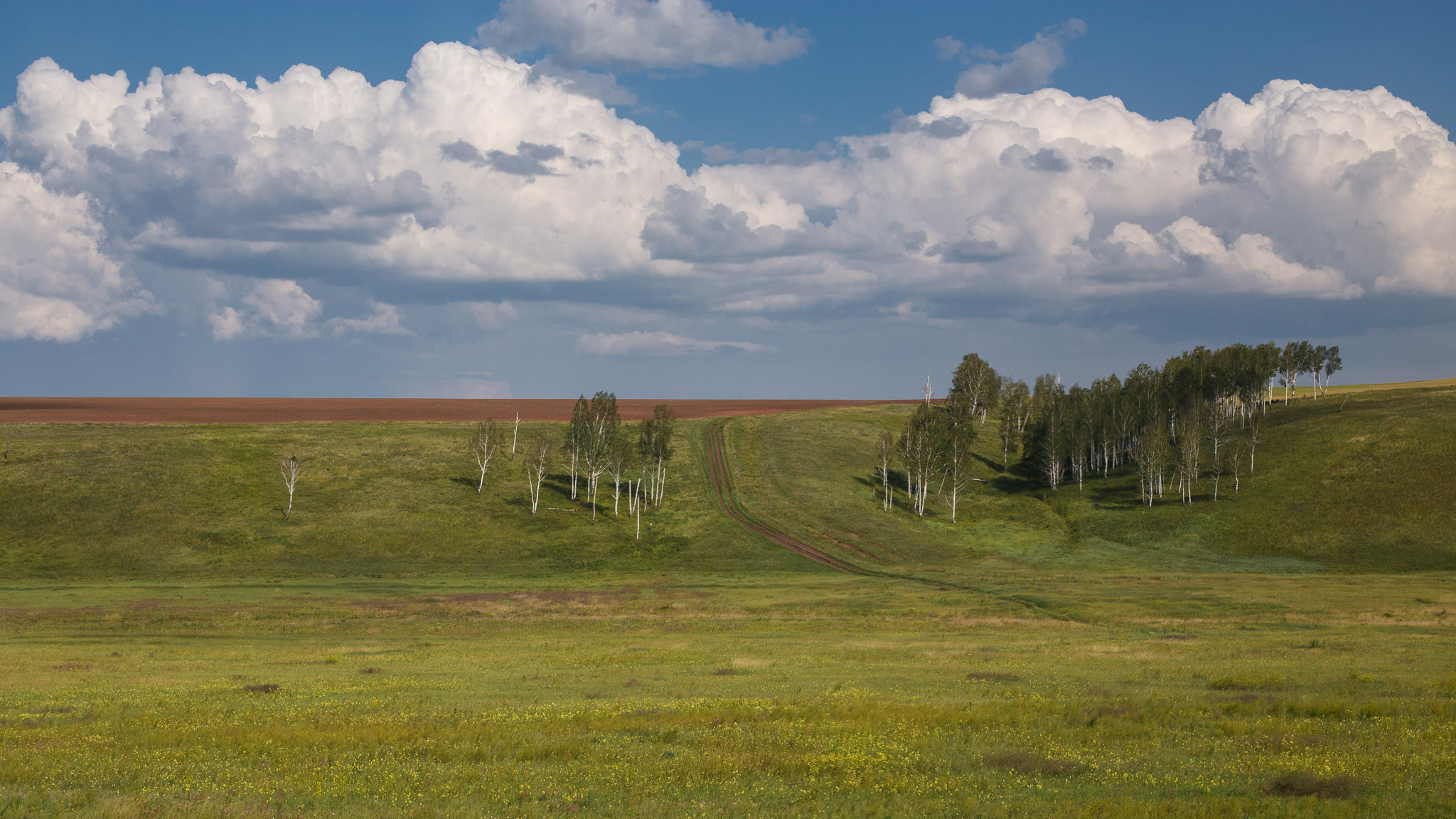 Views from the Trans Siberian Railroad — photograph 8