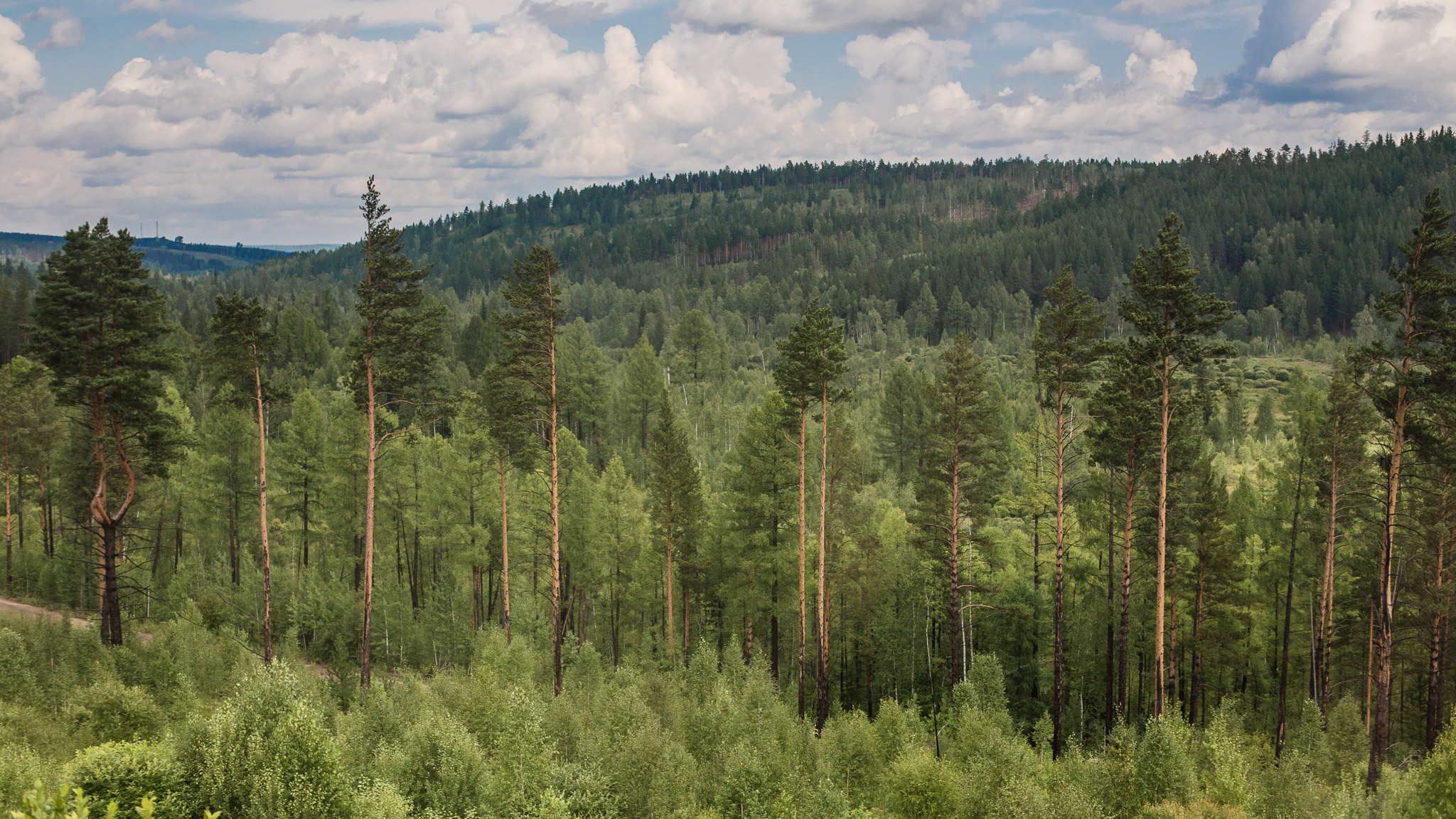 Views from the Trans Siberian Railroad — photograph 11