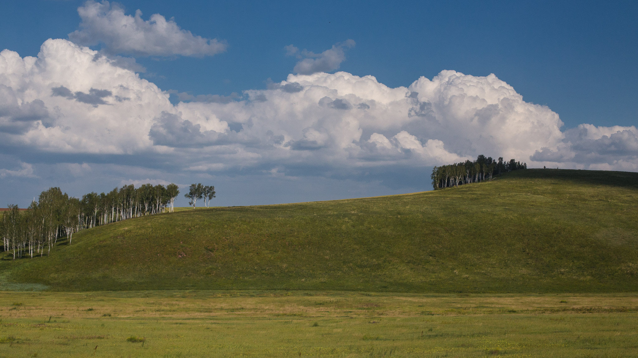 Views from the Trans Siberian Railroad — photograph 13