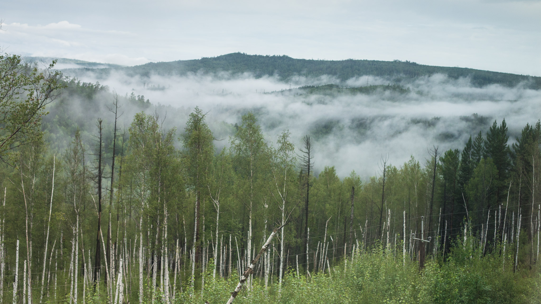 Views from the Trans Siberian Railroad — photograph 14