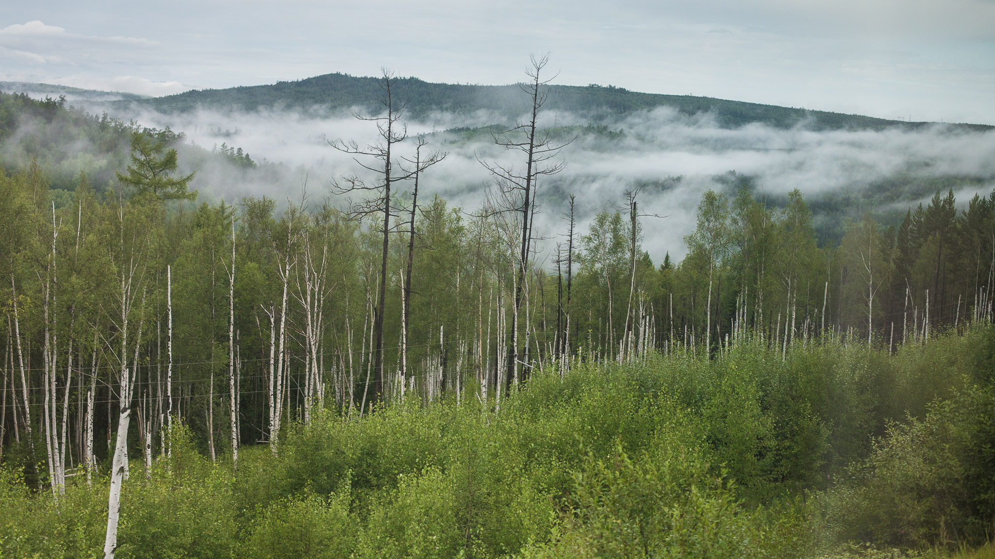 Views from the Trans Siberian Railroad — photograph 18