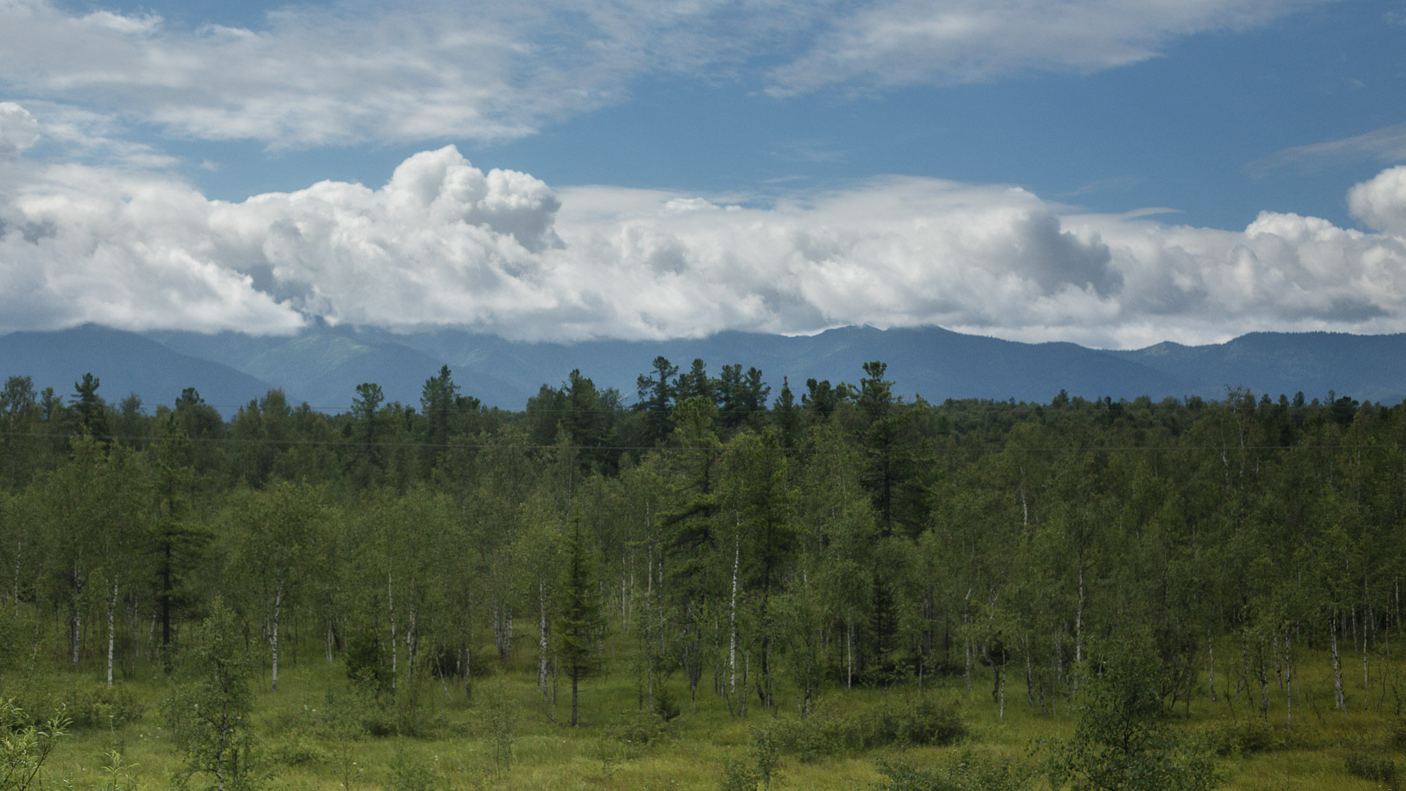 Views from the Trans Siberian Railroad — photograph 20